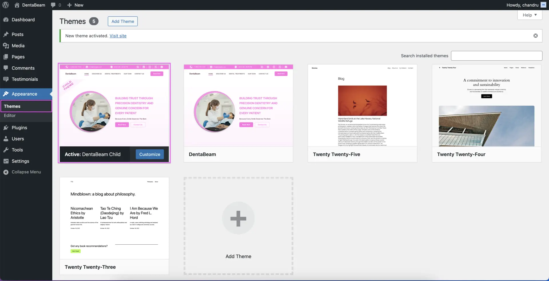 Wordpress Theme Dashboard