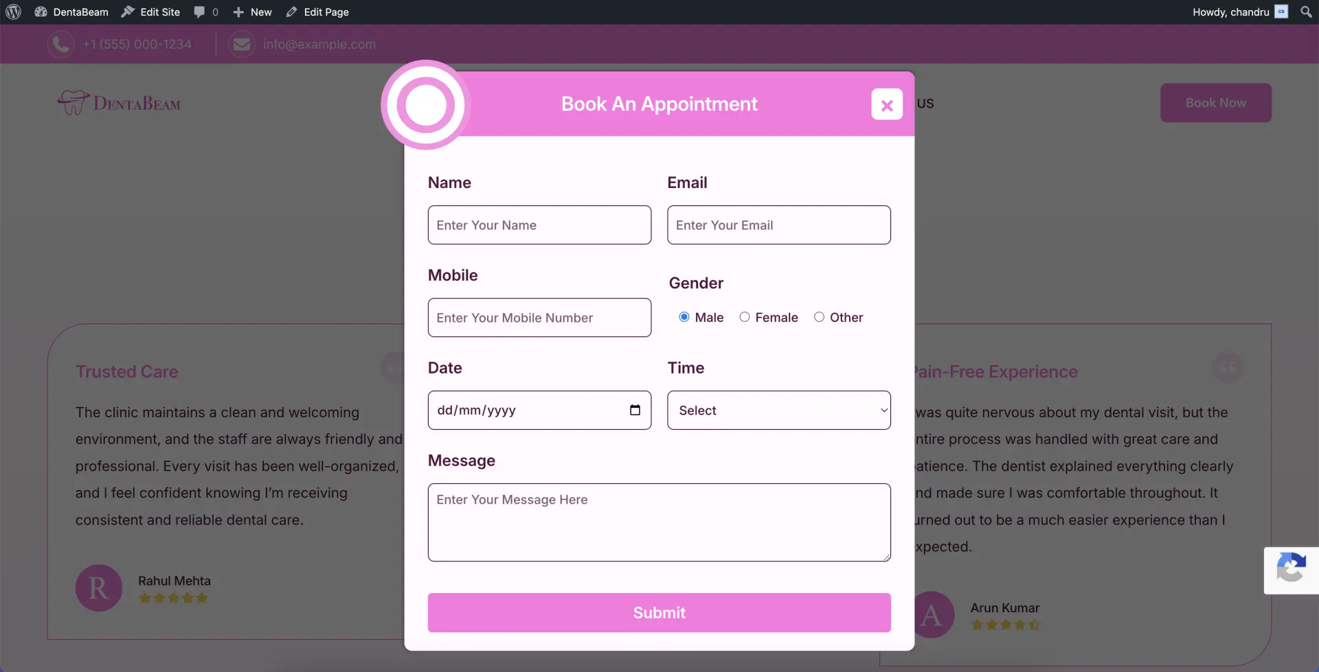 Frontend reCAPTCHA view